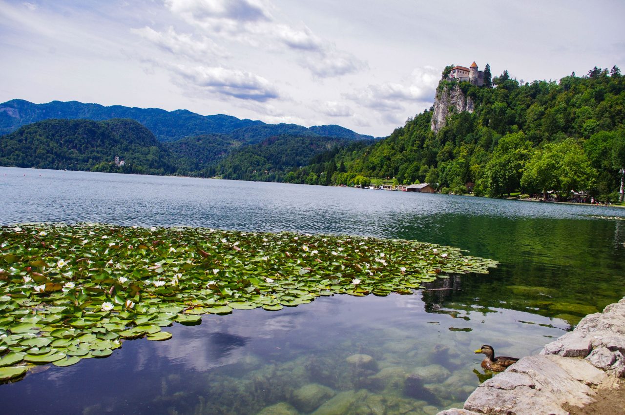 A Bledi-tó és a Bledi-vár